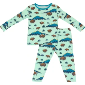 Shop All | Born To Be Wild Bisons Long Sleeve Pajama Set (2t-12y) - CaringForTots - Professional Baby and Children's Products | Caring for Growth, Caring for Every Moment