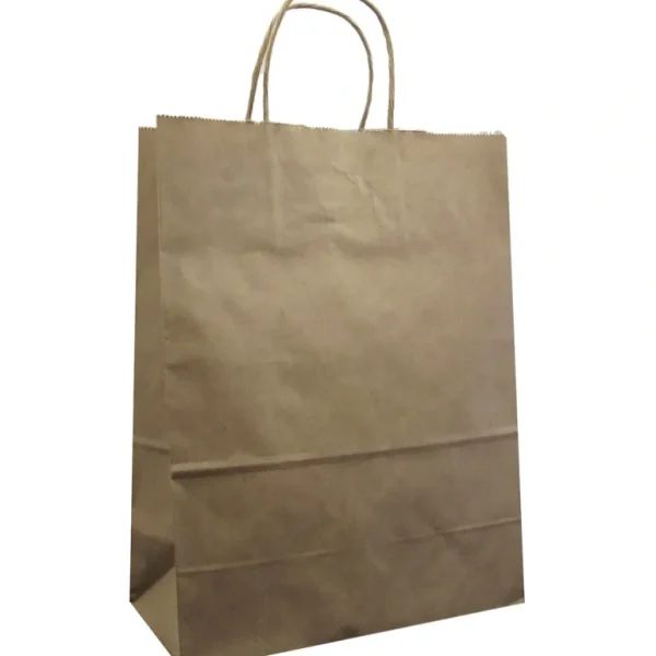 Shop Jillson & Roberts Medium Kraft Bags, Natural - CaringForTots - Professional Baby and Children's Products | Caring for Growth, Caring for Every Moment