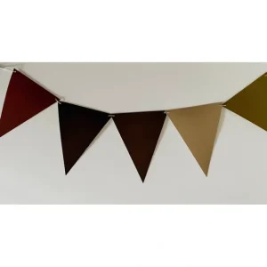 Scout Pennant Banner - CaringForTots - Professional Baby and Children's Products | Caring for Growth, Caring for Every Moment* Party Decor