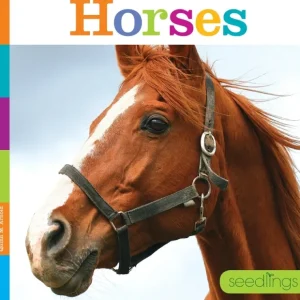 Seedlings: Horses by The Creative Company - CaringForTots - Professional Baby and Children's Products | Caring for Growth, Caring for Every Moment* Toys