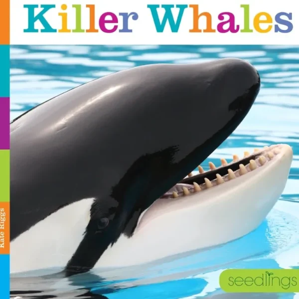 Books | Seedlings: Killer Whales by The Creative Company - CaringForTots - Professional Baby and Children's Products | Caring for Growth, Caring for Every Moment