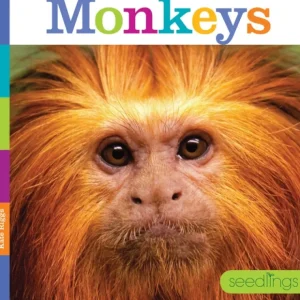 Seedlings: Monkeys by The Creative Company - CaringForTots - Professional Baby and Children's Products | Caring for Growth, Caring for Every Moment* Toys