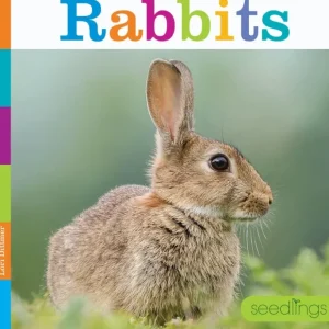 Seedlings: Rabbits by The Creative Company - CaringForTots - Professional Baby and Children's Products | Caring for Growth, Caring for Every Moment* Toys