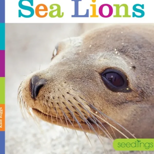 Books | Seedlings: Sea Lions by The Creative Company - CaringForTots - Professional Baby and Children's Products | Caring for Growth, Caring for Every Moment