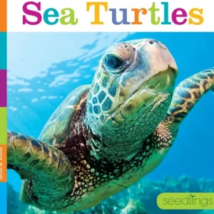 Books | Seedlings: Sea Turtles by The Creative Company - CaringForTots - Professional Baby and Children's Products | Caring for Growth, Caring for Every Moment