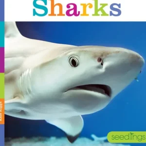 Seedlings: Sharks by The Creative Company - CaringForTots - Professional Baby and Children's Products | Caring for Growth, Caring for Every Moment* Toys
