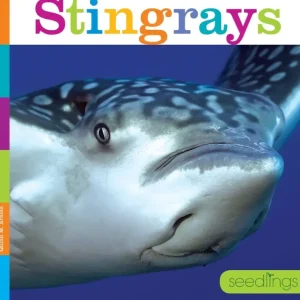 Seedlings: Stingrays by The Creative Company - CaringForTots - Professional Baby and Children's Products | Caring for Growth, Caring for Every Moment* Toys