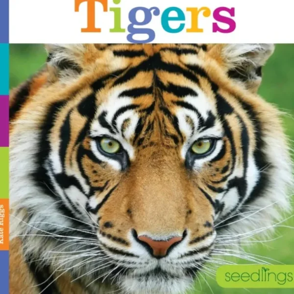 Books | Seedlings: Tigers by The Creative Company - CaringForTots - Professional Baby and Children's Products | Caring for Growth, Caring for Every Moment
