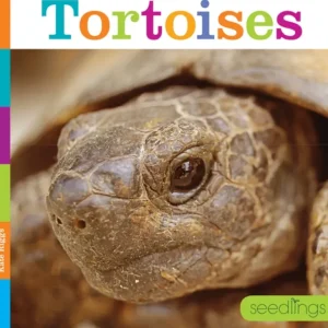 Books | Seedlings: Tortoises by The Creative Company - CaringForTots - Professional Baby and Children's Products | Caring for Growth, Caring for Every Moment