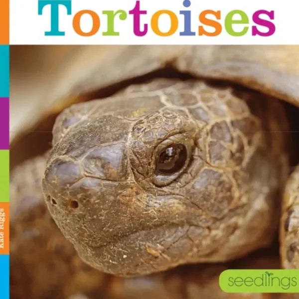 Books | Seedlings: Tortoises by The Creative Company - CaringForTots - Professional Baby and Children's Products | Caring for Growth, Caring for Every Moment