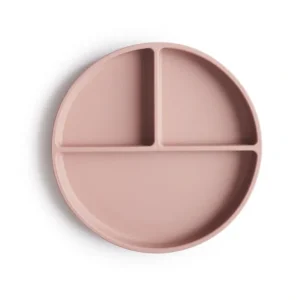Toys | Silicone Suction Plate - CaringForTots - Professional Baby and Children's Products | Caring for Growth, Caring for Every Moment