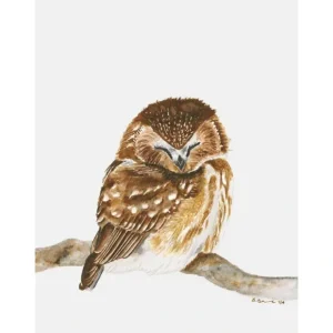 Sleeping Owl Portrait Canvas Art - CaringForTots - Professional Baby and Children's Products | Caring for Growth, Caring for Every Moment* Decor
