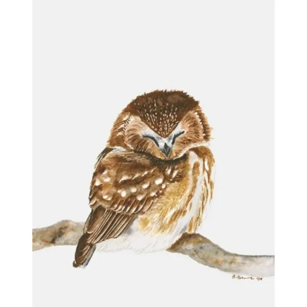 Sleeping Owl Portrait Canvas Art - CaringForTots - Professional Baby and Children's Products | Caring for Growth, Caring for Every Moment* Decor