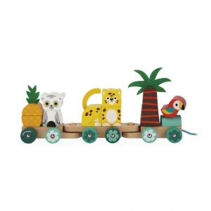 Tropik - Pull Along Tropical Train - CaringForTots - Professional Baby and Children's Products | Caring for Growth, Caring for Every Moment* Push & Pull