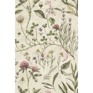 Vintage Illustration Wallpaper - CaringForTots - Professional Baby and Children's Products | Caring for Growth, Caring for Every Moment* Wallpapers