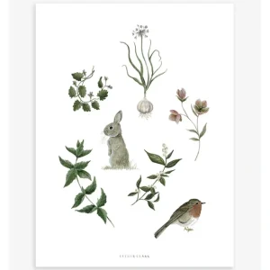 Wellington - Children's Poster - Rabbit, Robin And Grass - CaringForTots - Professional Baby and Children's Products | Caring for Growth, Caring for Every Moment* All Products