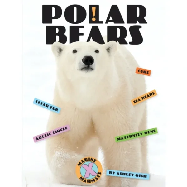 Books | X-Books: Marine Mammals: Polar Bears by The Creative Company - CaringForTots - Professional Baby and Children's Products | Caring for Growth, Caring for Every Moment