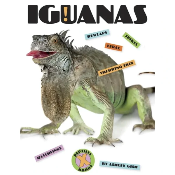 Books | X-Books: Reptiles: Iguanas by The Creative Company - CaringForTots - Professional Baby and Children's Products | Caring for Growth, Caring for Every Moment